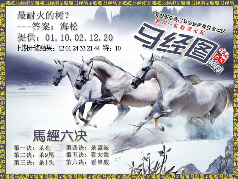 2025019期马经7