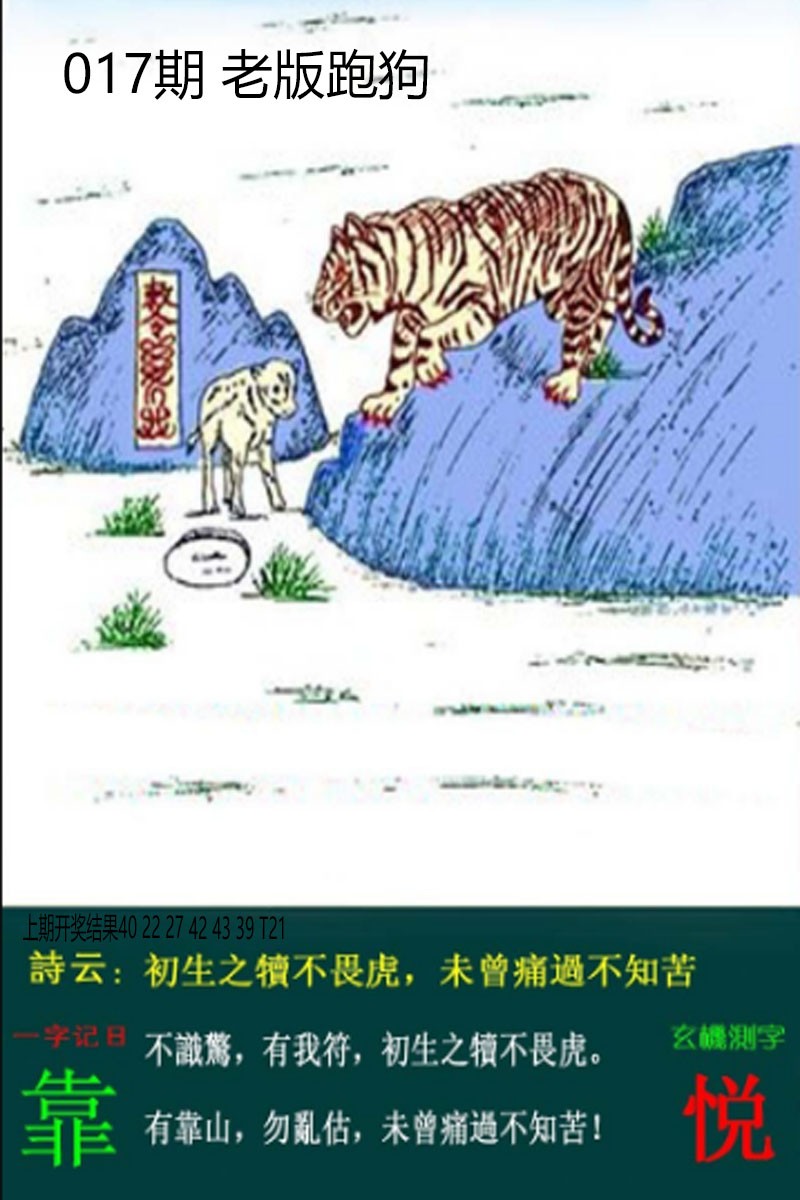 2025017期老板跑狗