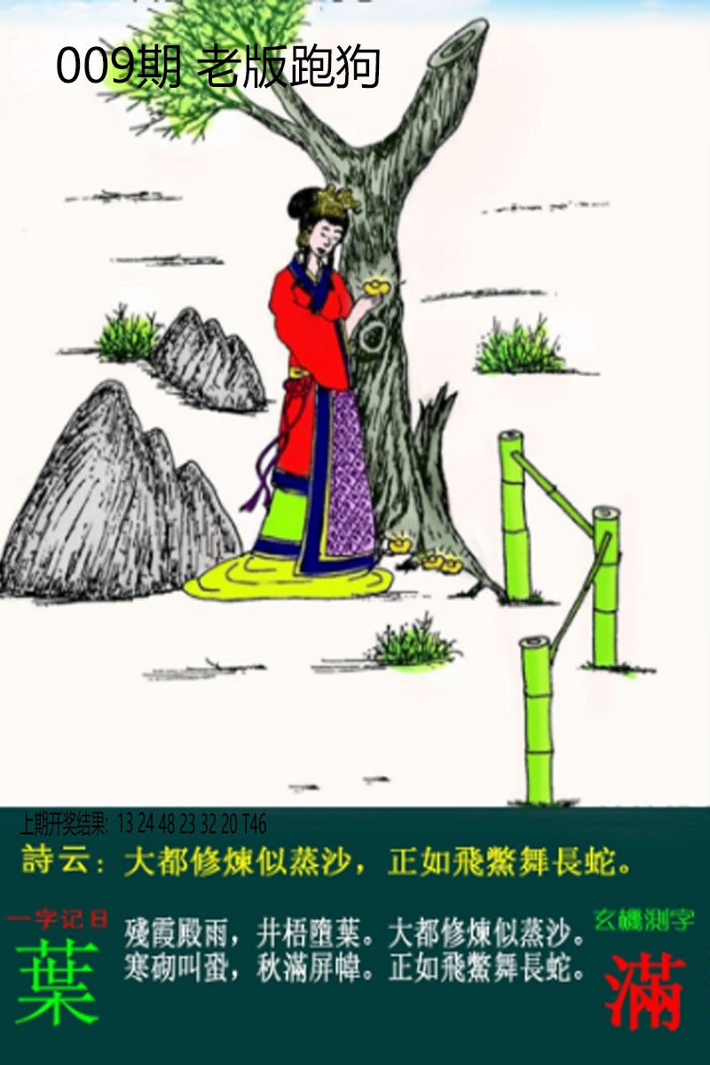 2025009期老板跑狗