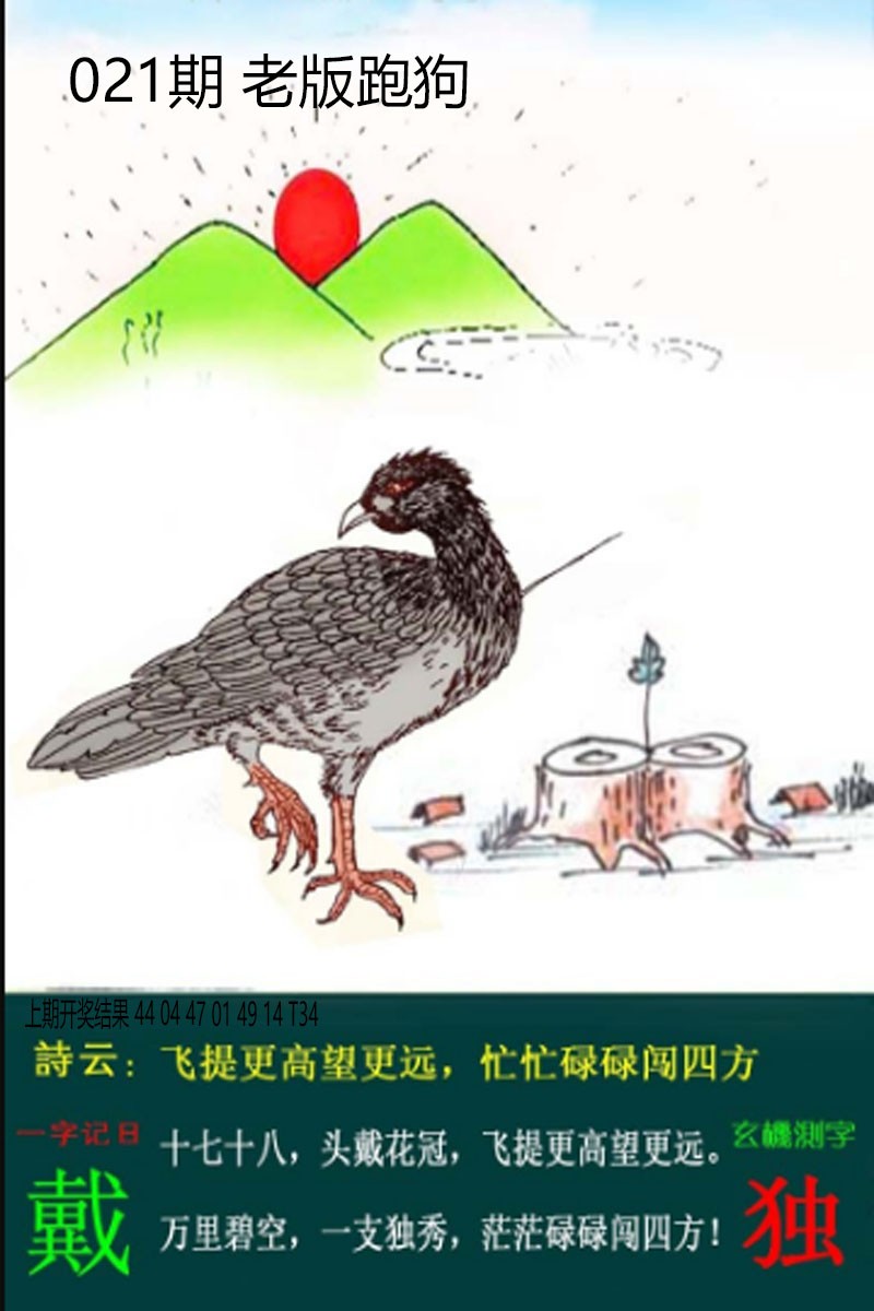 2025021期老板跑狗
