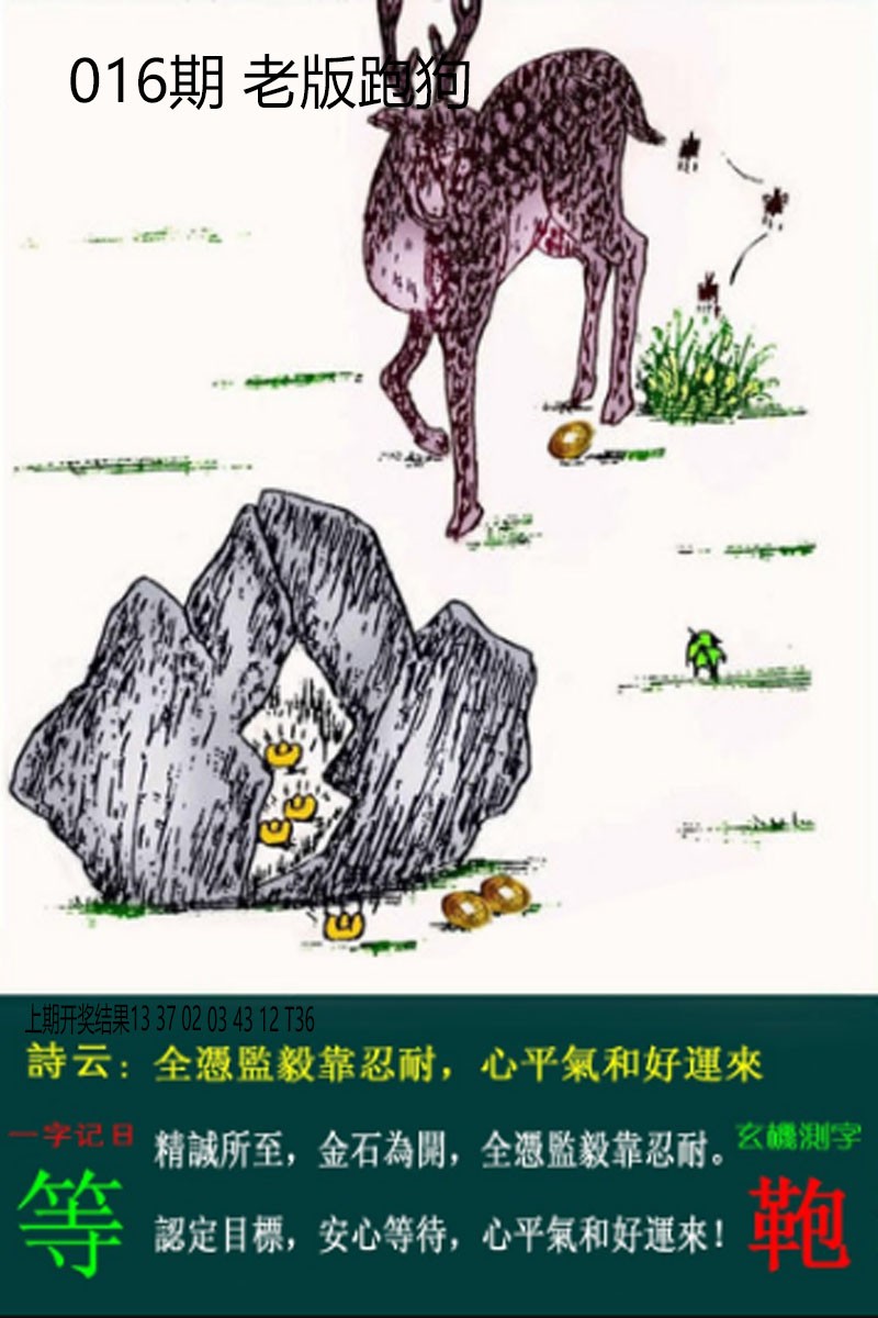 2025016期老板跑狗