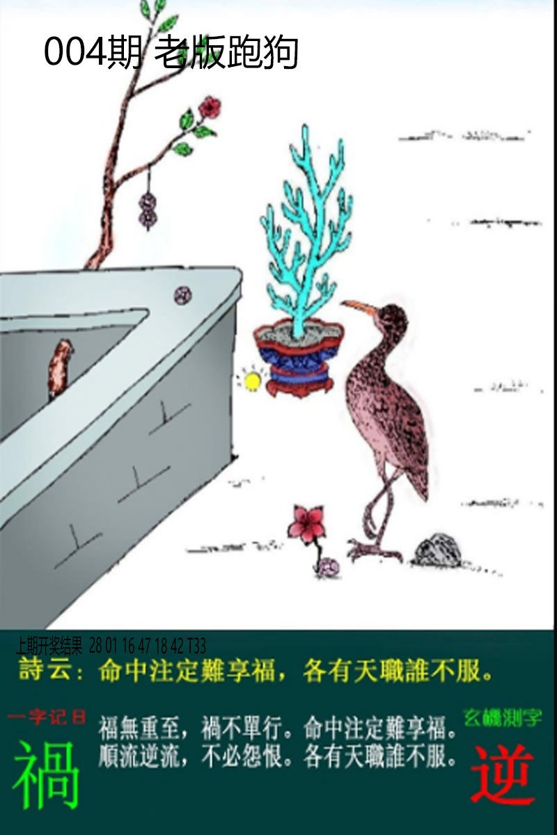2025004期老板跑狗