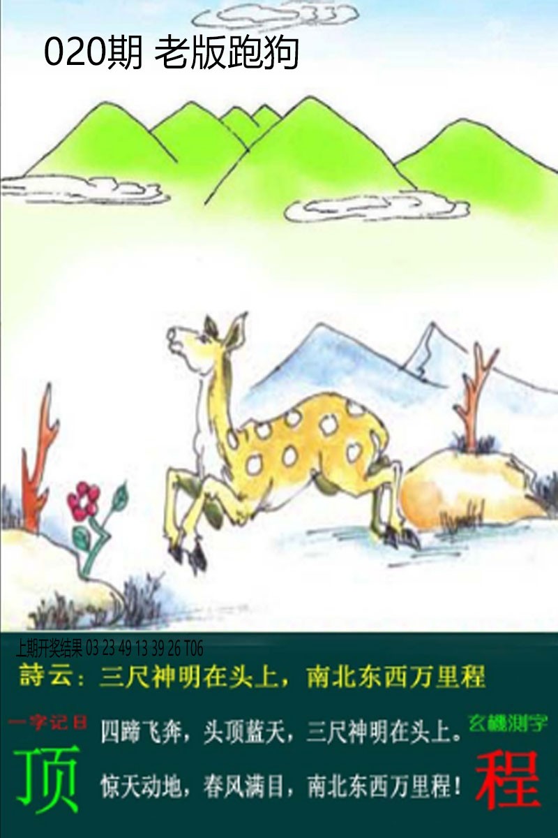 2025020期老板跑狗