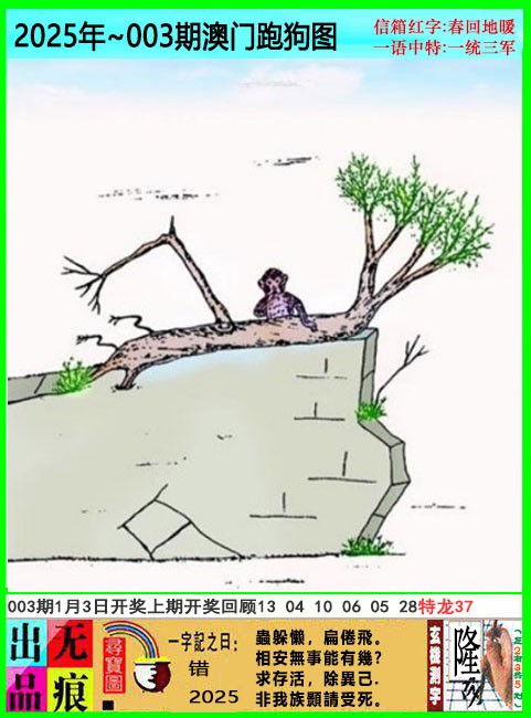 2025003期澳门跑狗无痕版
