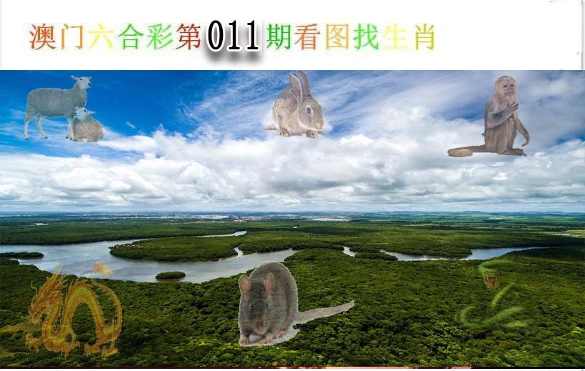 2025011期看图找生肖
