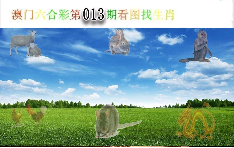 2025013期看图找生肖