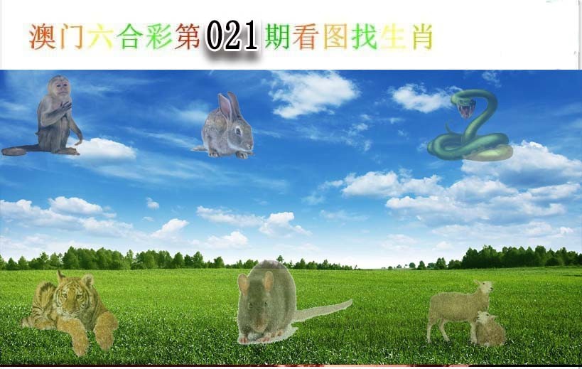 2025021期看图找生肖