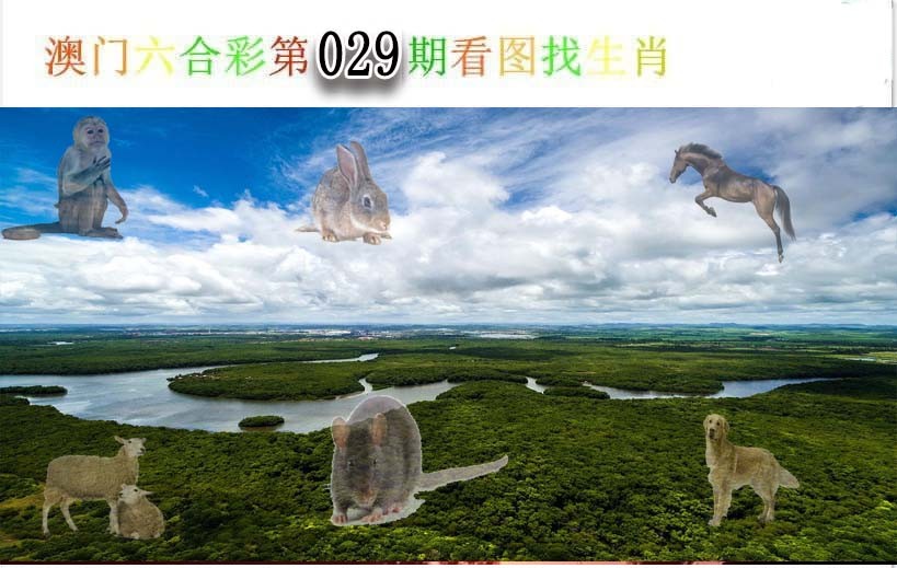 2025029期看图找生肖
