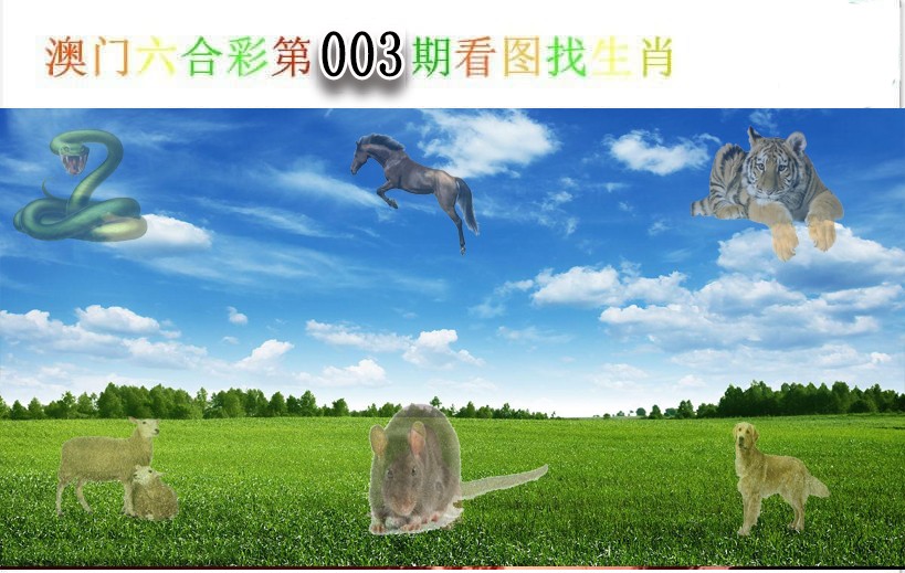 2025003期看图找生肖