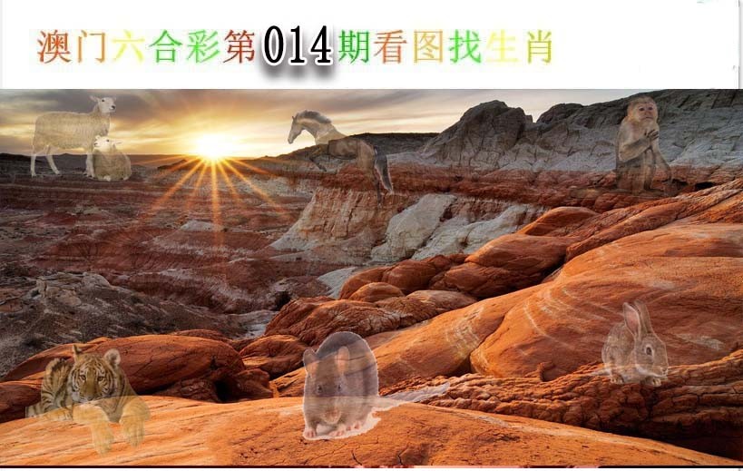 2025014期看图找生肖