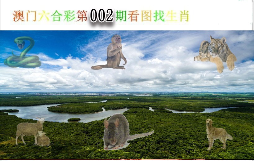 2025002期看图找生肖