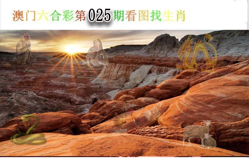2025025期看图找生肖