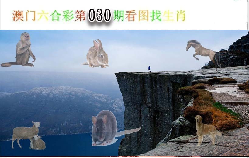2025030期看图找生肖