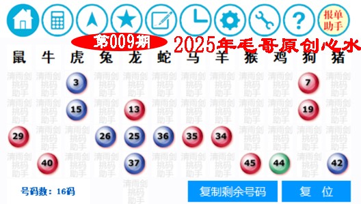 2025009期毛哥心水