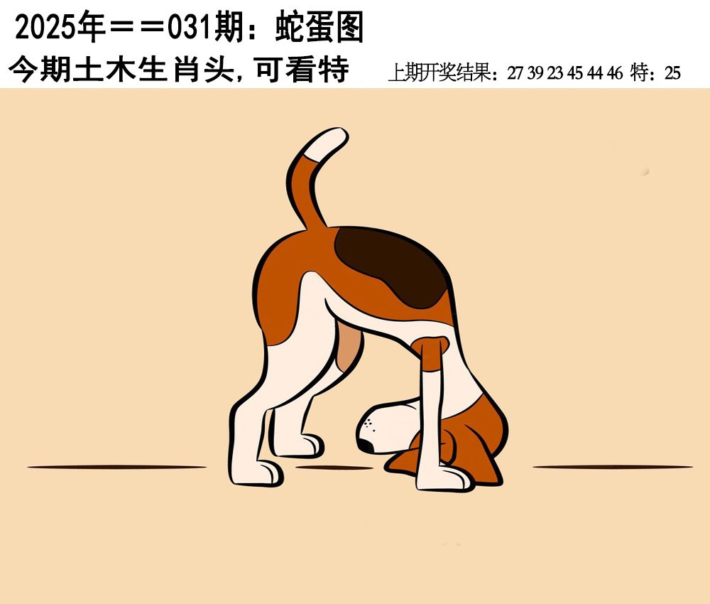 2025031期另版蛇蛋图
