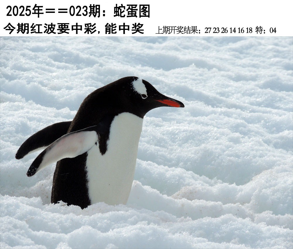 2025023期另版蛇蛋图