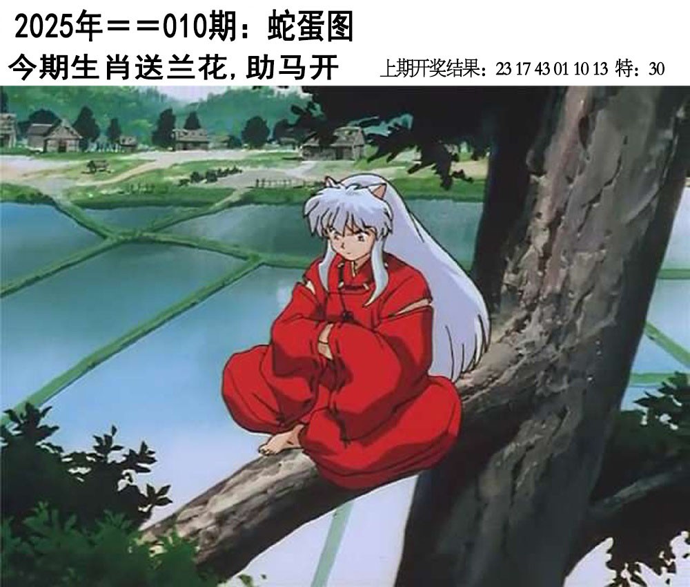 2025010期另版蛇蛋图