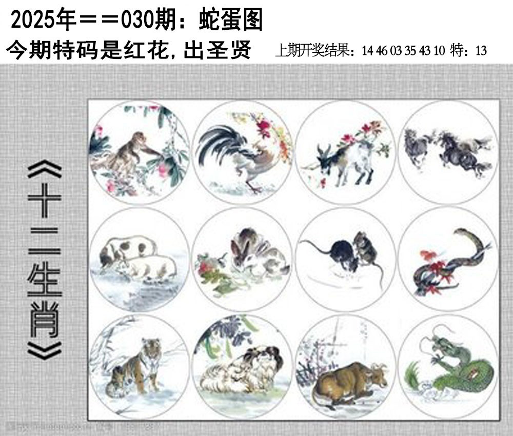 2025030期另版蛇蛋图