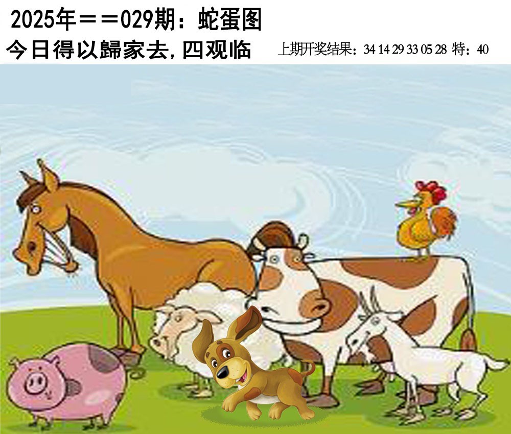 2025029期另版蛇蛋图