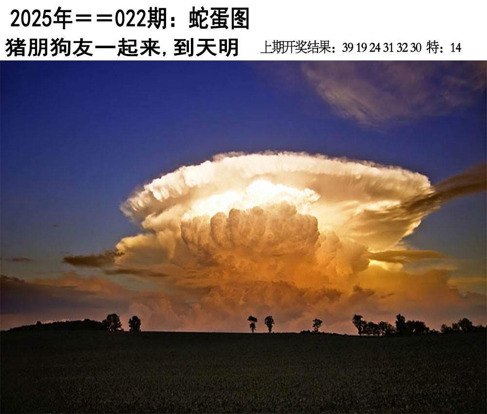 2025022期另版蛇蛋图