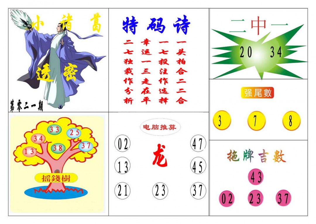 2025021期小诸葛