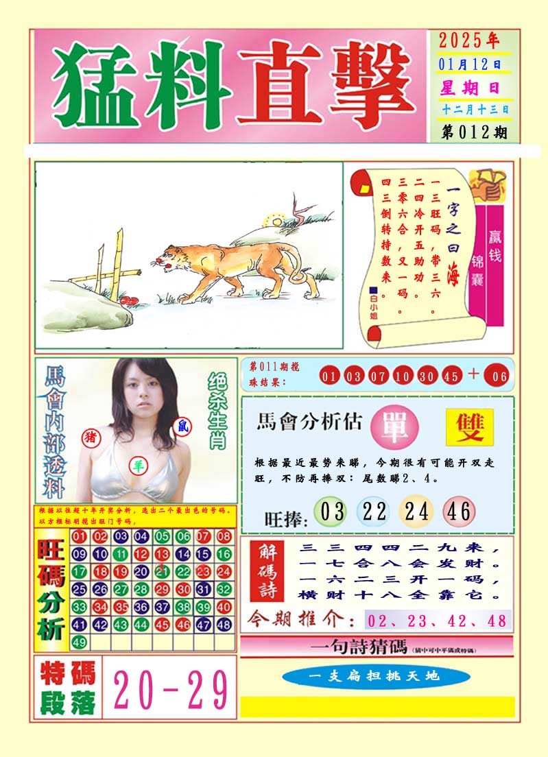 2025012期猛料直击A