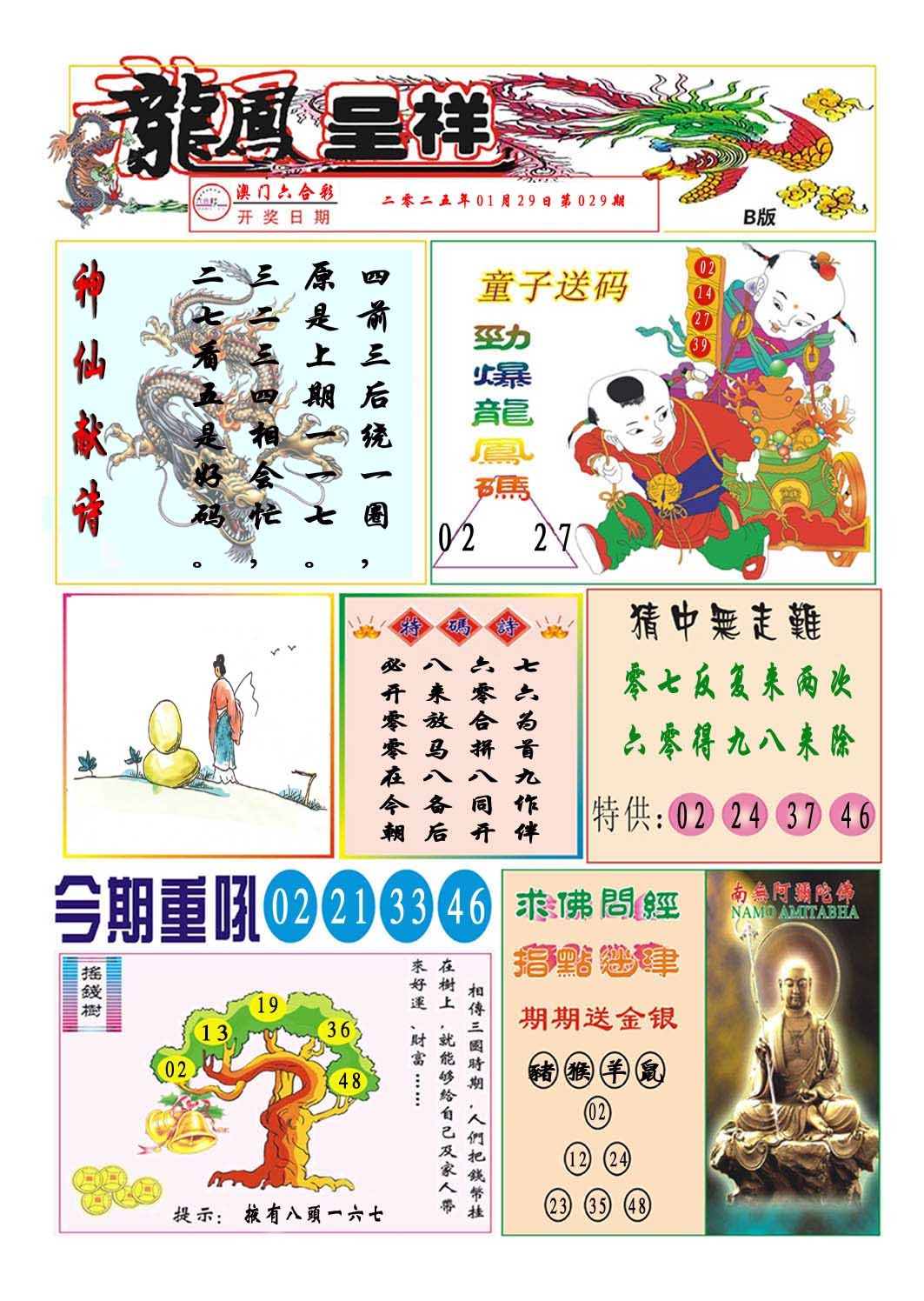 2025029期龙凤呈祥B