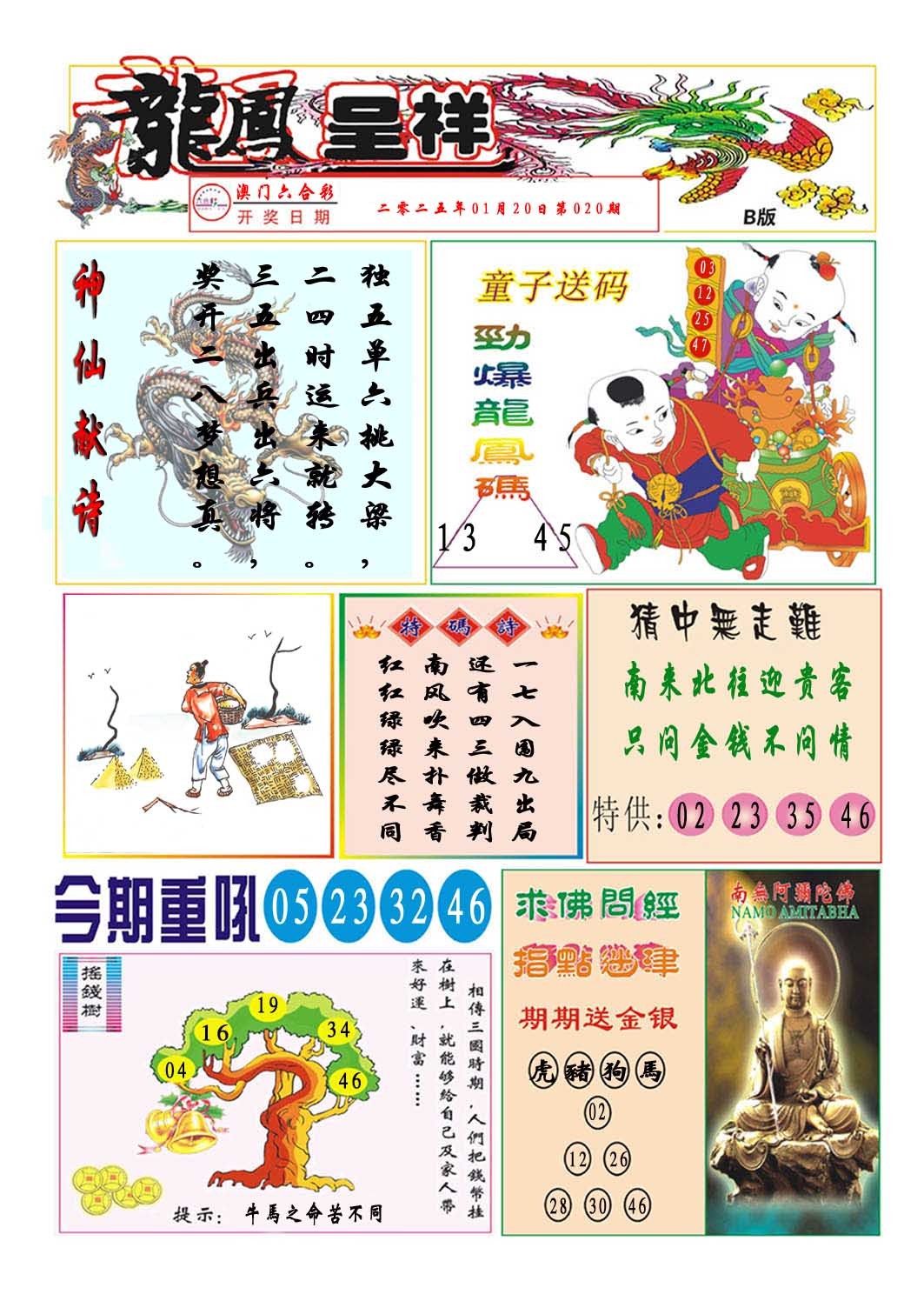 2025020期龙凤呈祥B