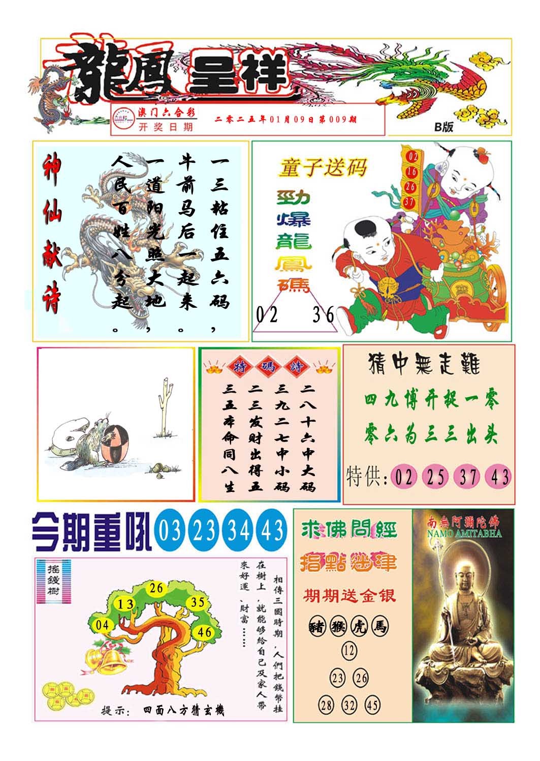 2025009期龙凤呈祥B