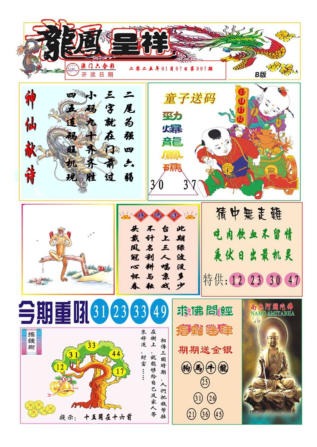 2025007期龙凤呈祥B