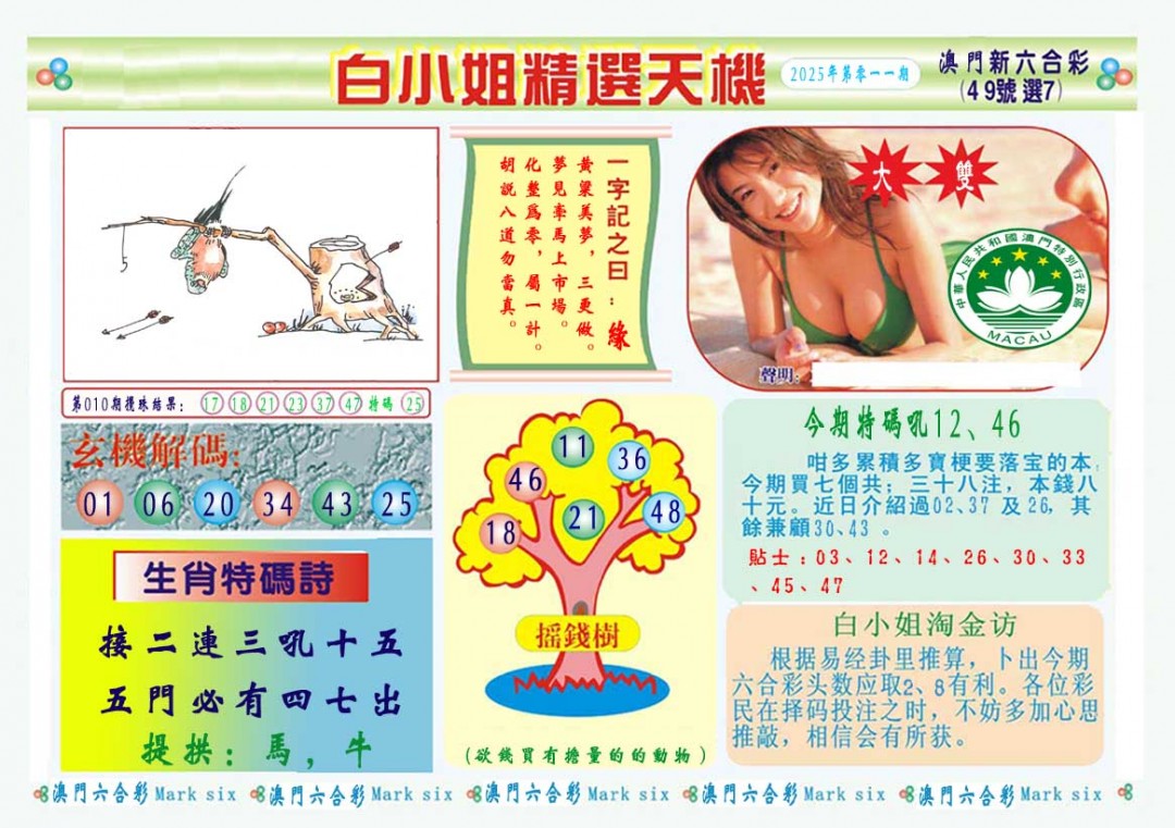 2025011期白小姐精选玄机A