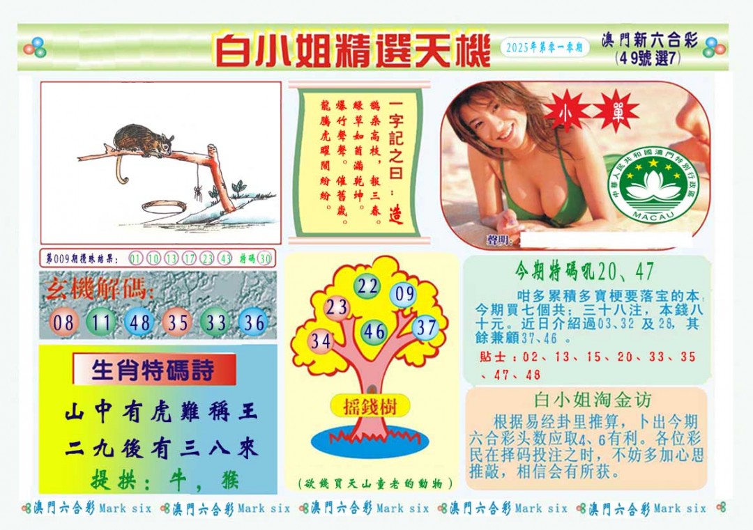 2025010期白小姐精选玄机A