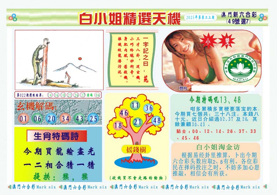 2025023期白小姐精选玄机A