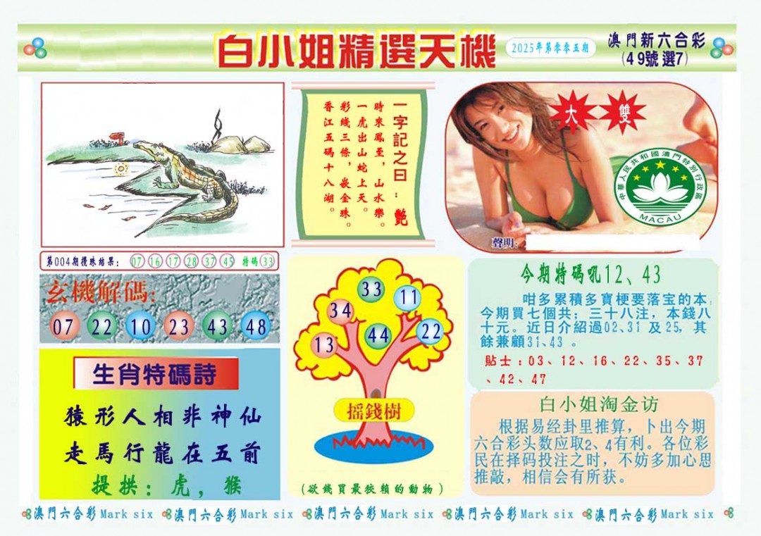 2025005期白小姐精选玄机A