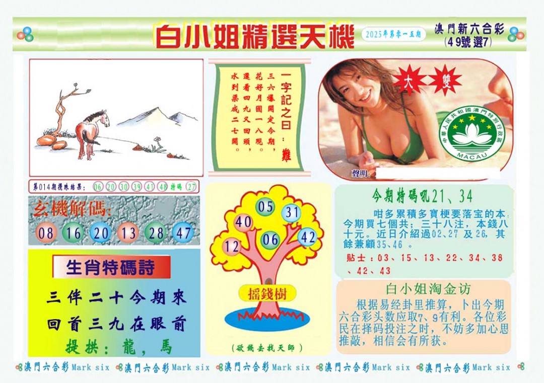 2025015期白小姐精选玄机A