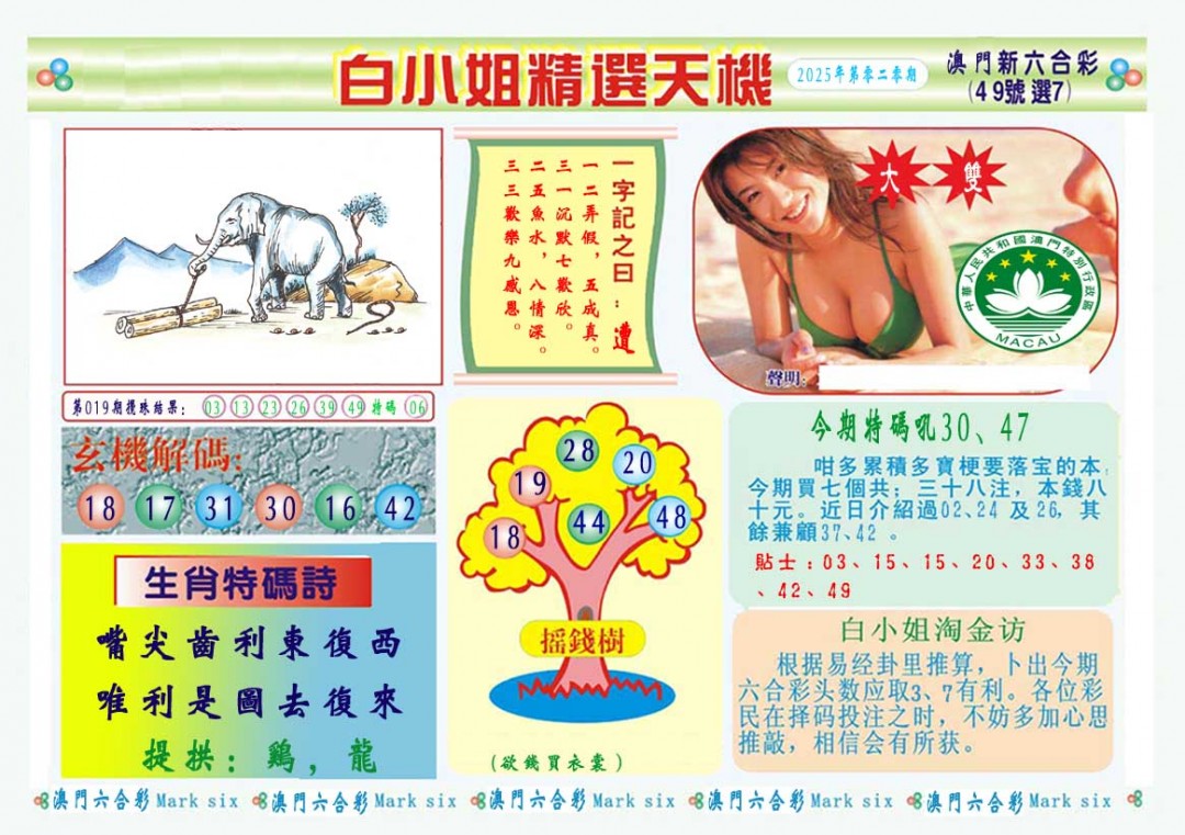 2025020期白小姐精选玄机A