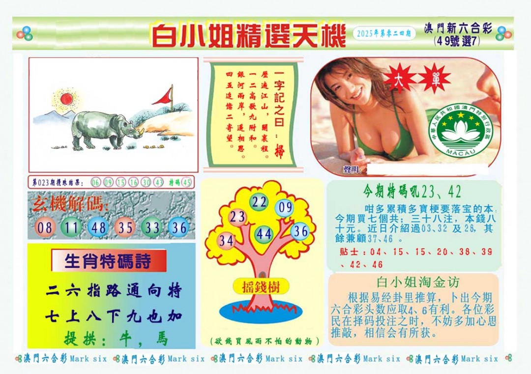 2025024期白小姐精选玄机A