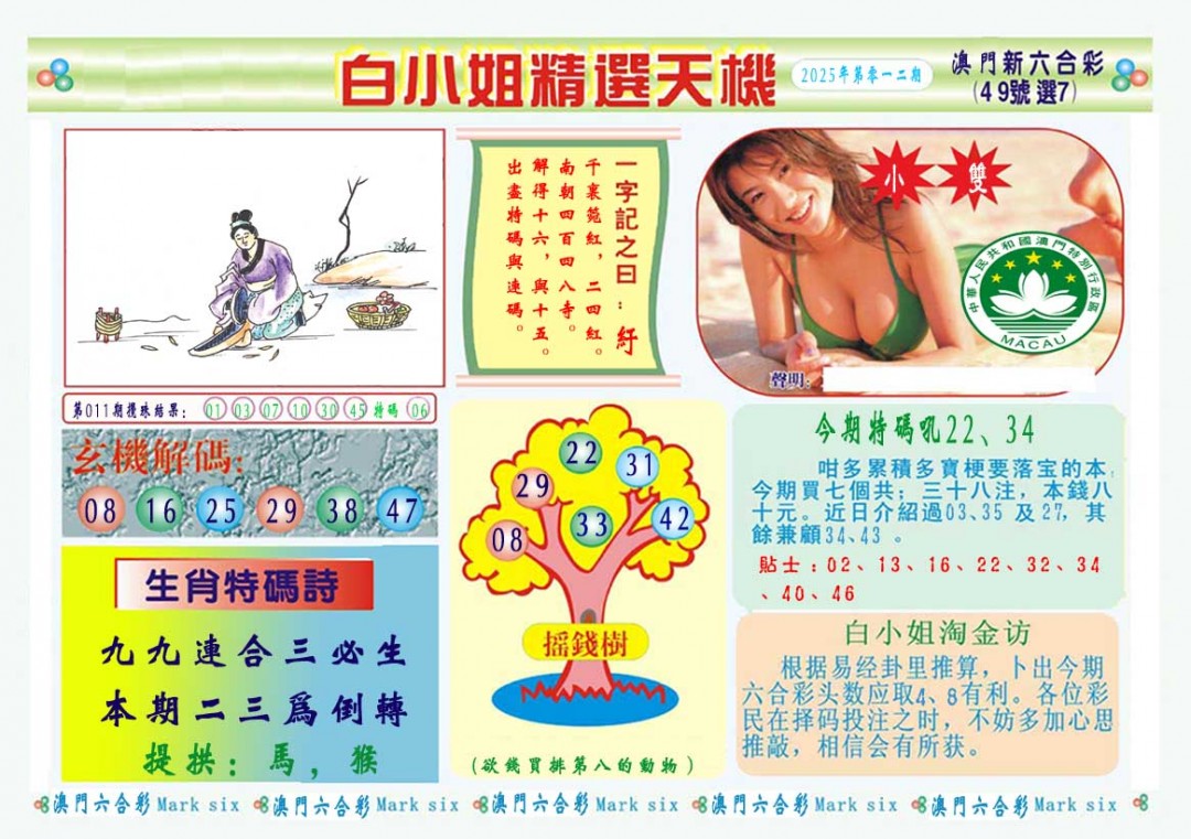 2025012期白小姐精选玄机A