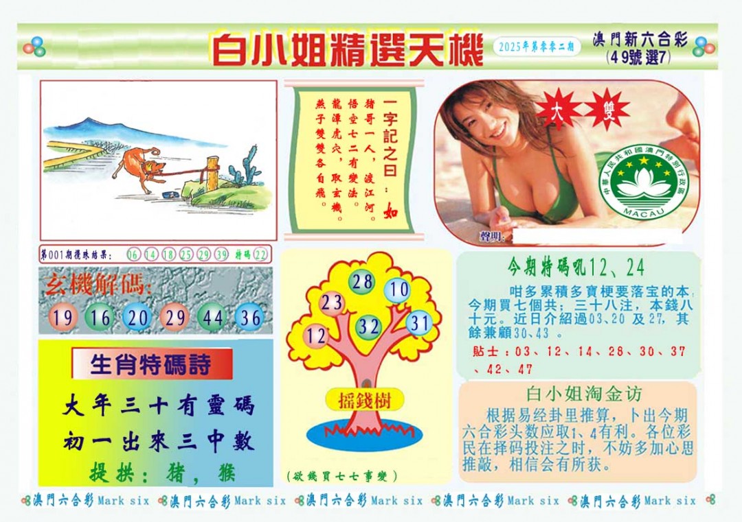 2025002期白小姐精选玄机A