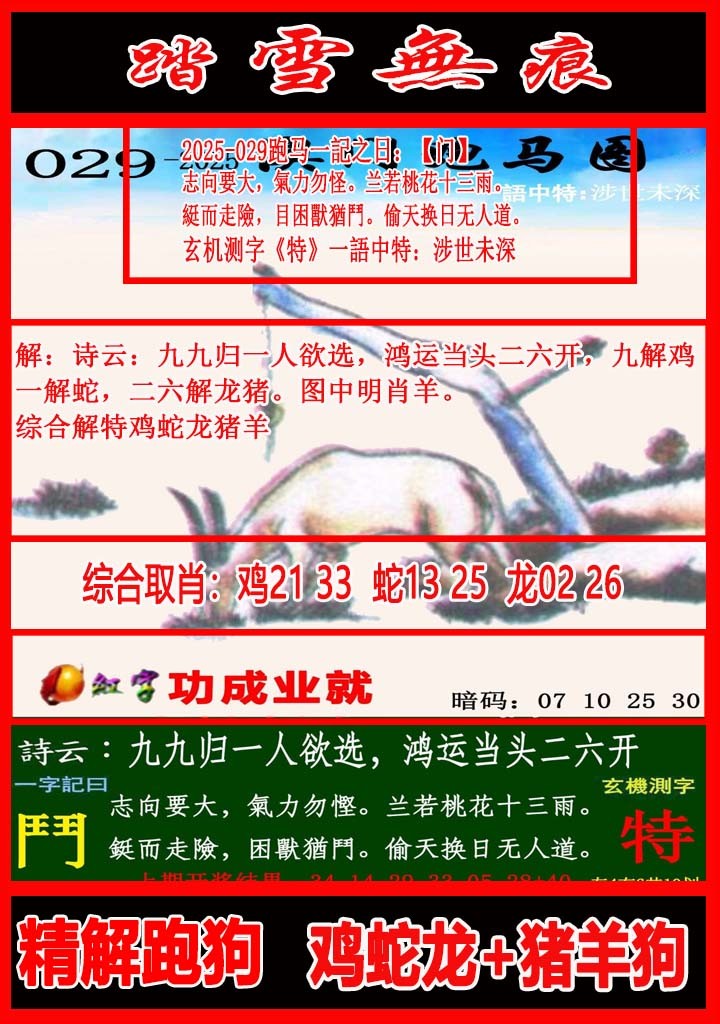 2025029期踏雪无痕跑马图