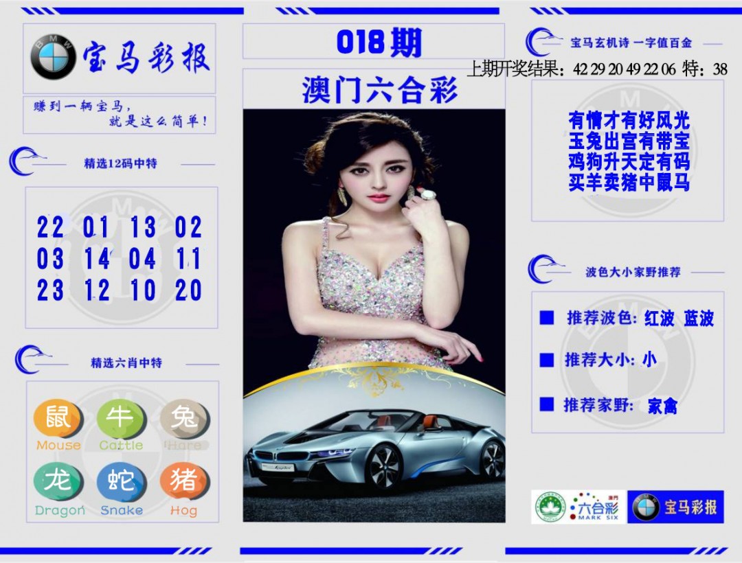 2025018期宝马彩报