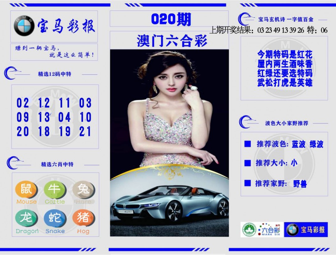 2025020期宝马彩报