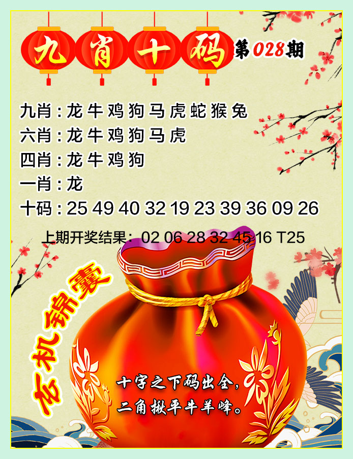 2025028期九肖十码