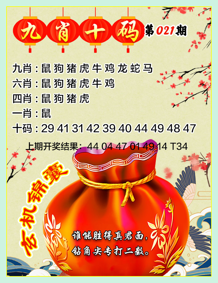 2025021期九肖十码