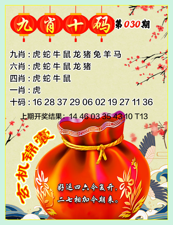 2025030期九肖十码