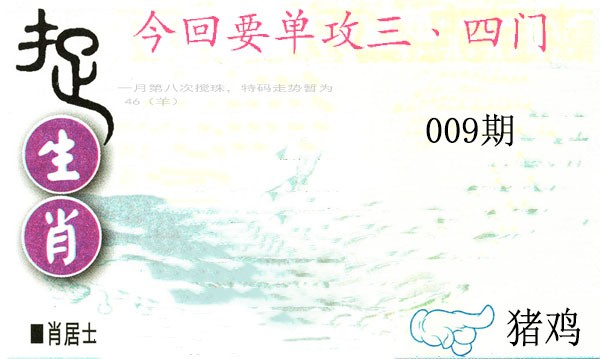 2025009期捉生肖