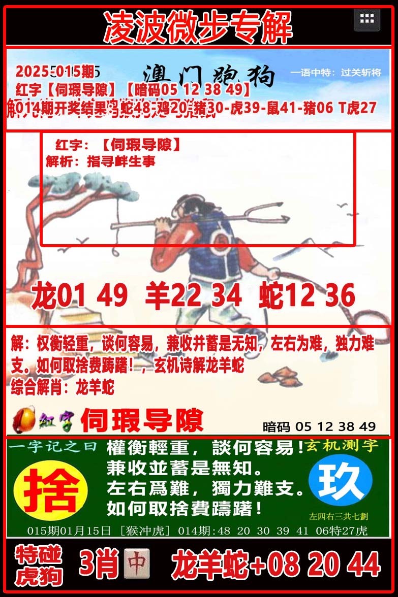 2025015期凌波微步