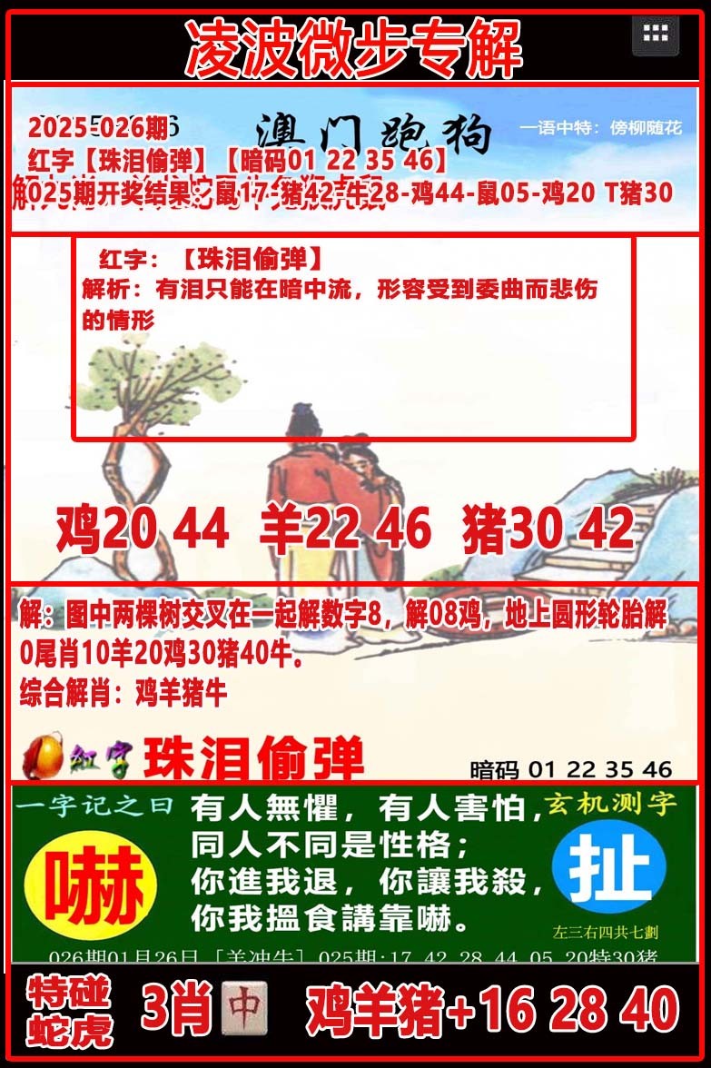 2025026期凌波微步