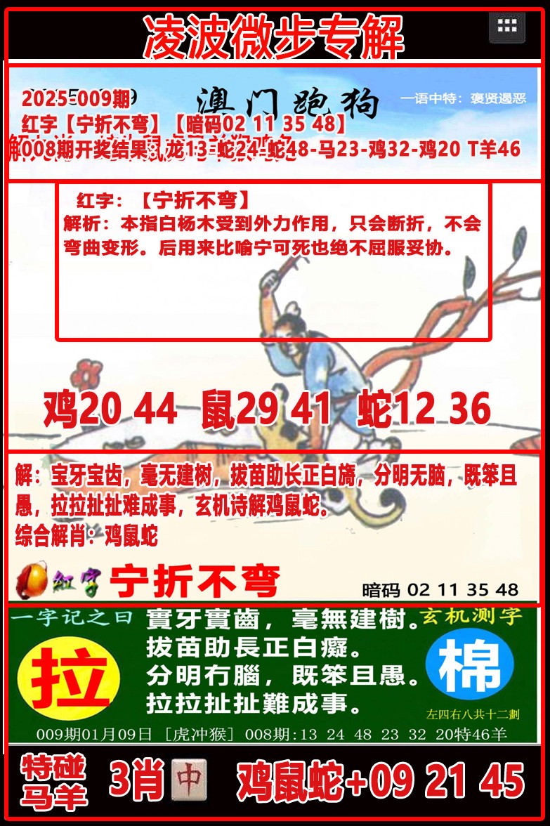 2025009期凌波微步
