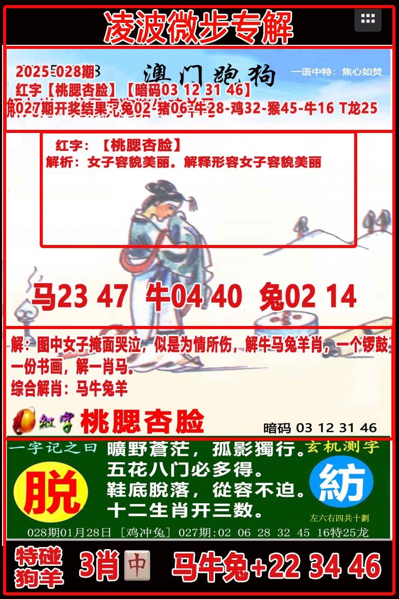 2025028期凌波微步